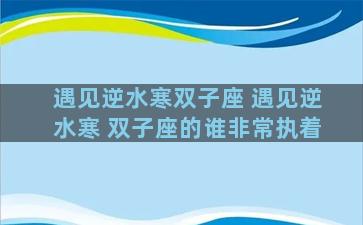 遇见逆水寒双子座 遇见逆水寒 双子座的谁非常执着